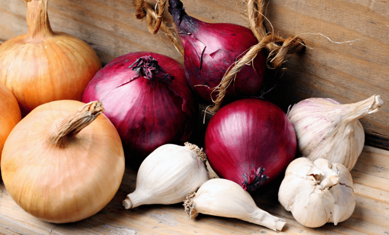 garlic and onions from pests