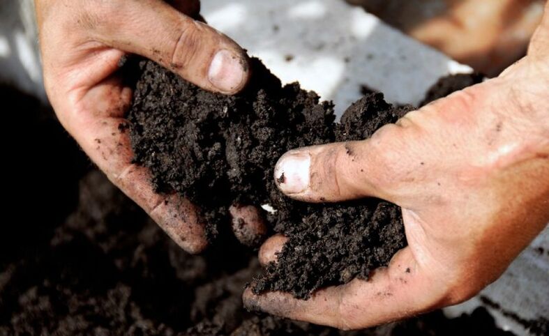 work with soil as a route of infection with worms