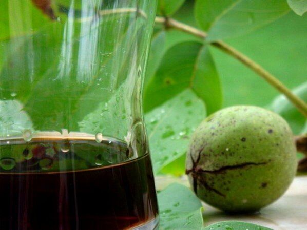 A decoction of green walnut shells is a folk remedy against worms. 
