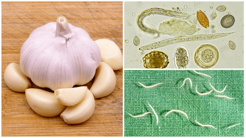 Parasites in the folk methods of the body
