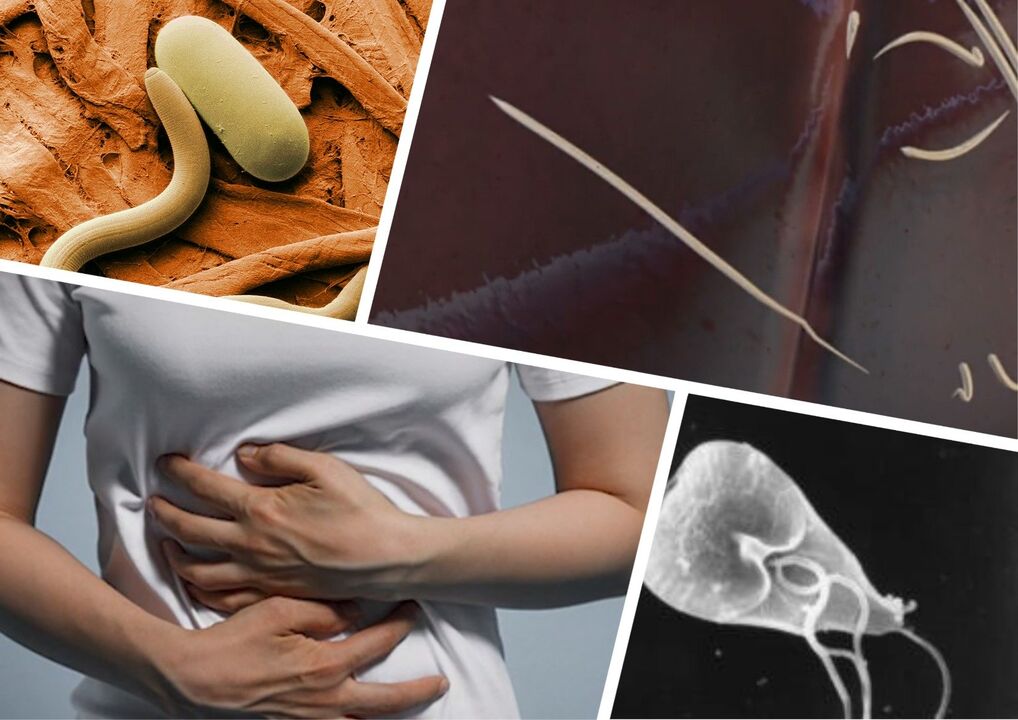 Parasites in the treatment of the body